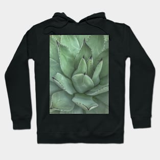 Succulent Photo Hoodie